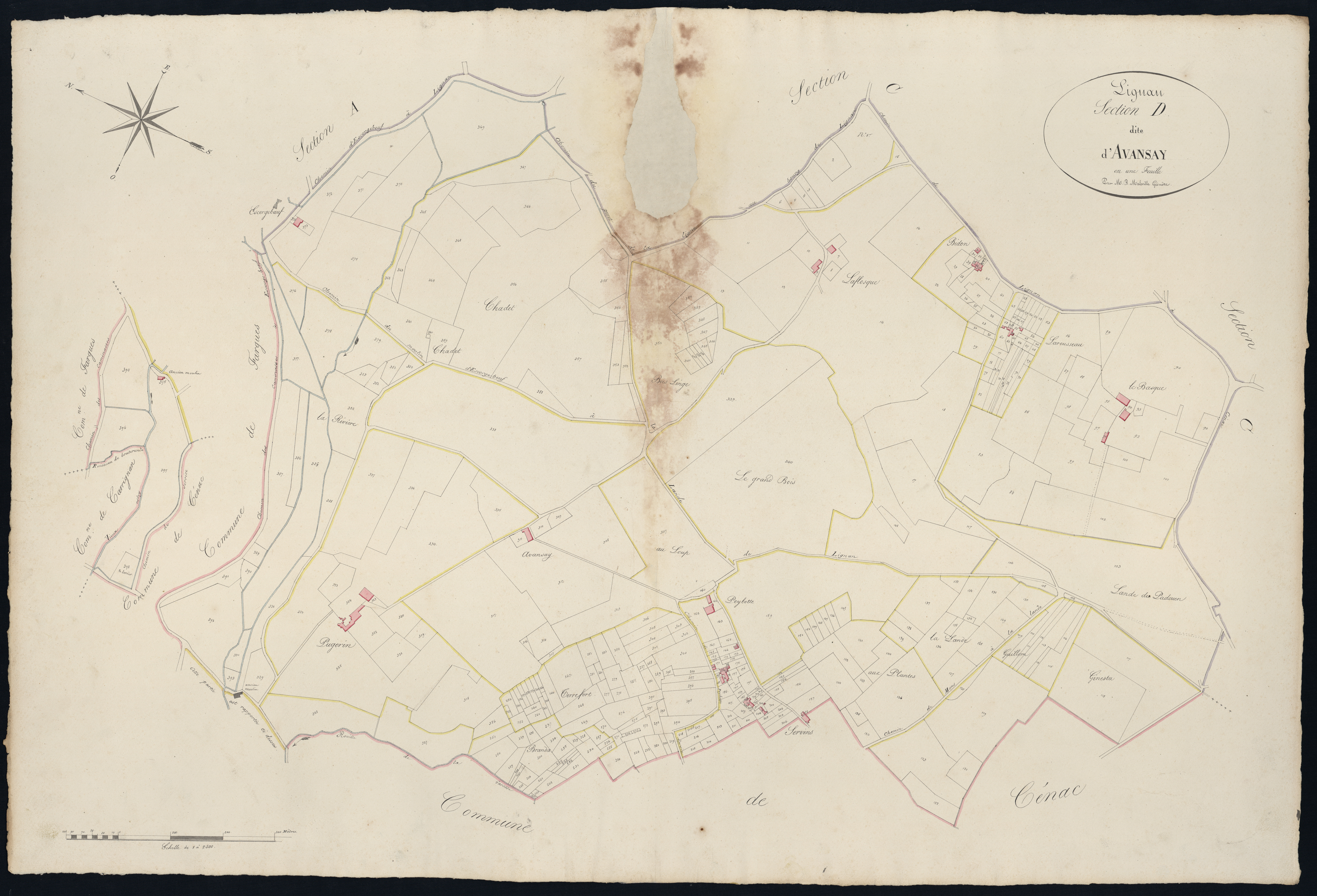 Lignan-de-Bordeaux - -Section D feuille unique : Avansay