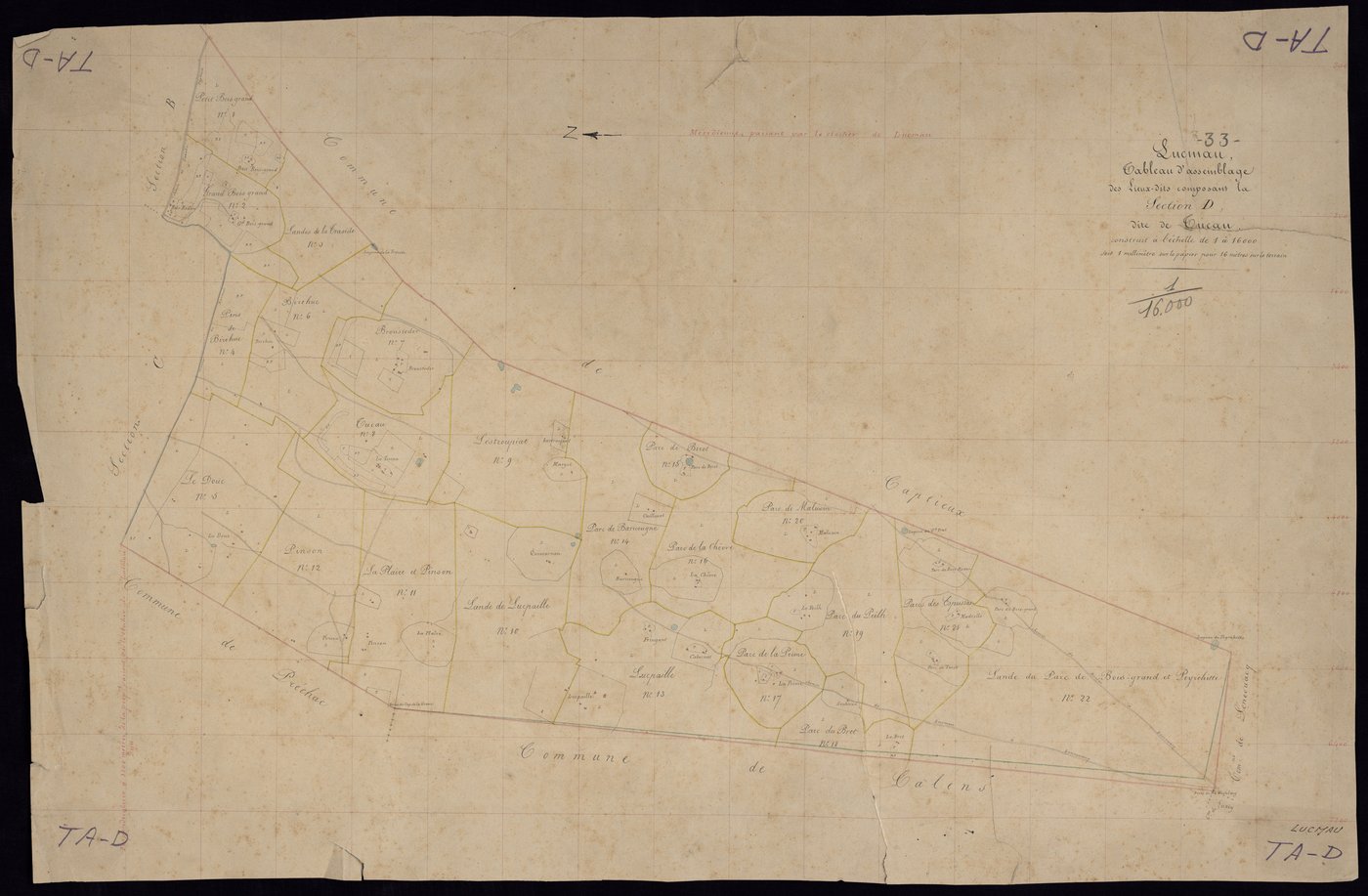 Lucmau - -Tableau d'assemblage section D :