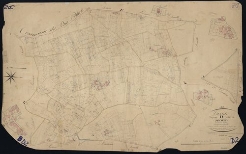Lussac - -Section D feuille 2 : Pichon