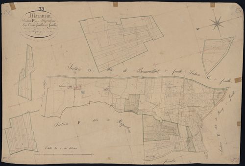 Maransin - -Section F feuille 3 : Rigouleau
