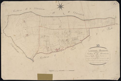 Maransin - -Section C feuille 1 : Peristève