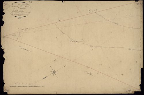 Mios - -Section D feuille 4 : Caudos