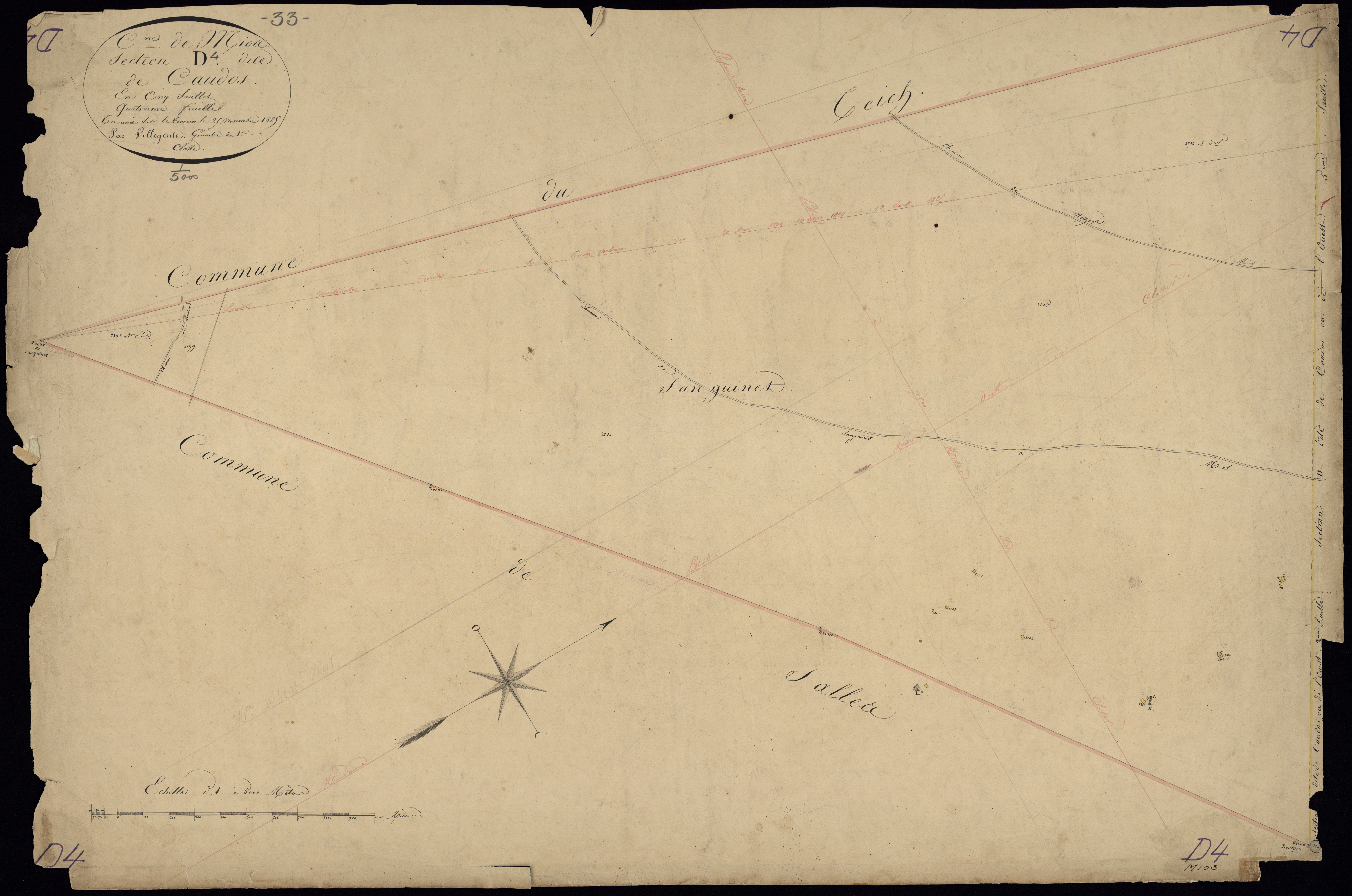 Mios - -Section D feuille 4 : Caudos