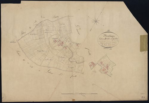 Montagne - -Section D feuille 1 : Guitard