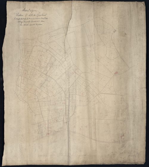 Montagne - -Section D feuille 2 : Guitard