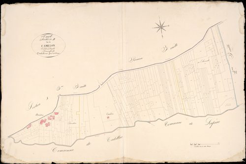 Omet - -Section B feuille 1 : Camelon