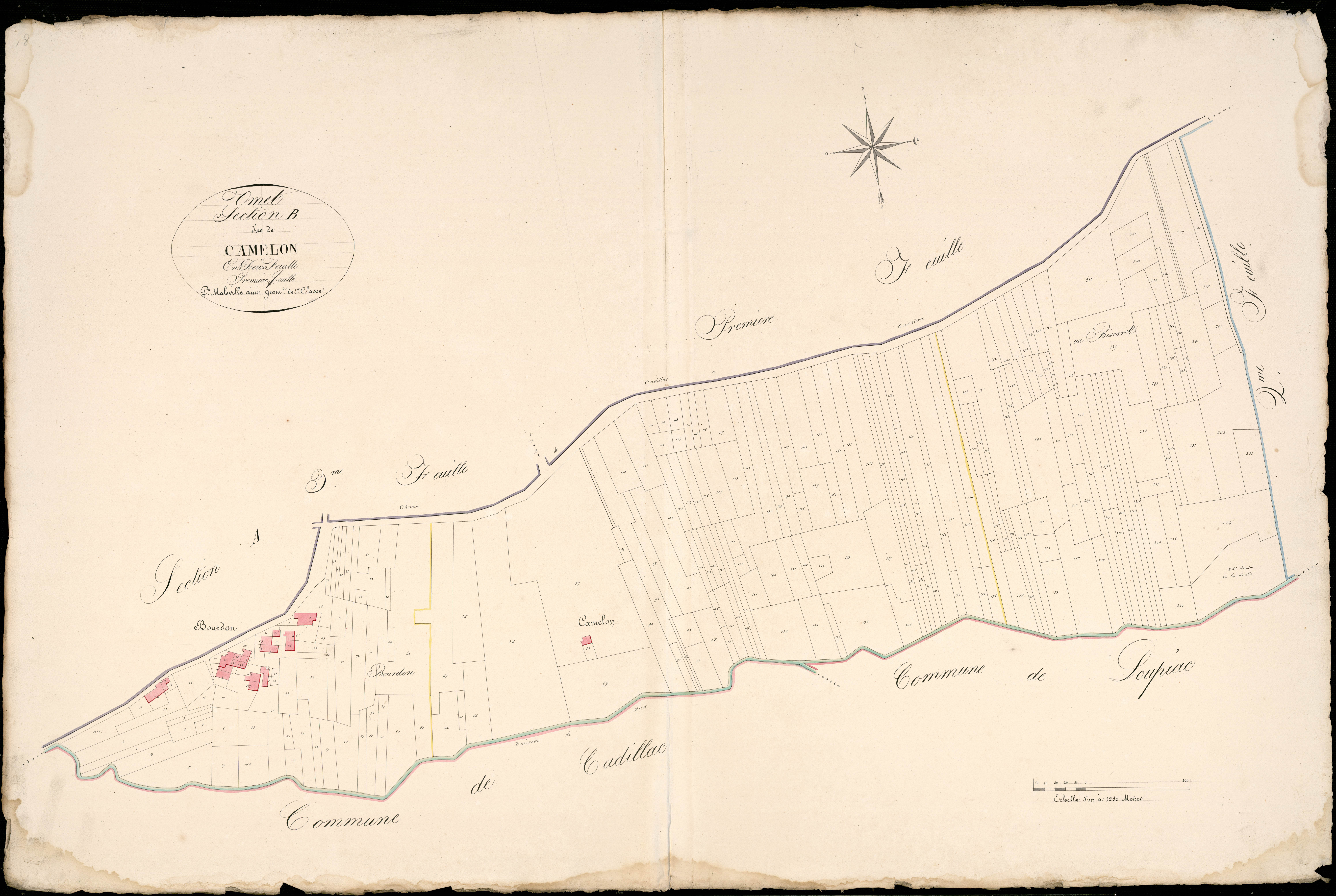 Omet - -Section B feuille 1 : Camelon