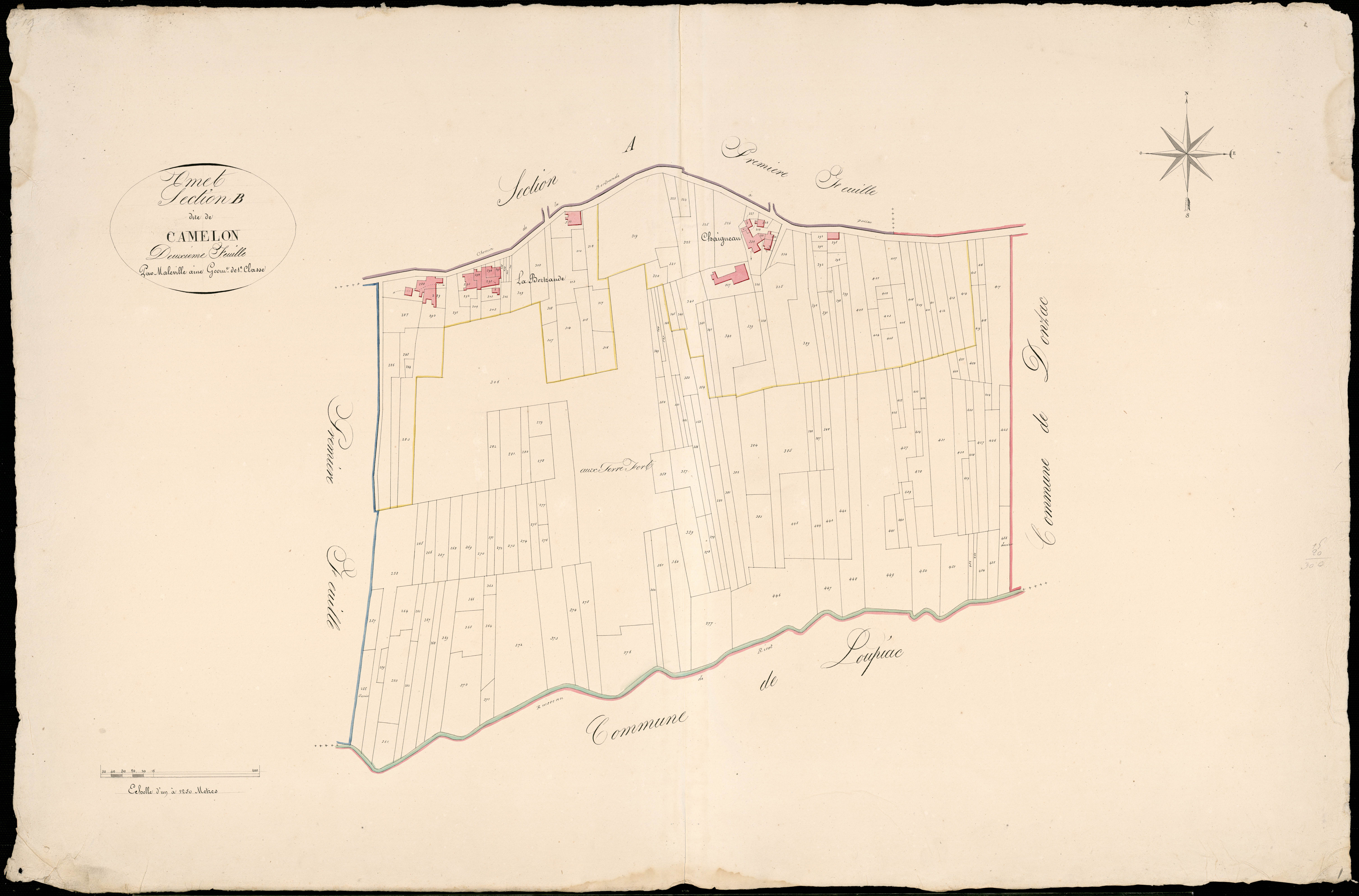 Omet - -Section B feuille 2 : Camelon