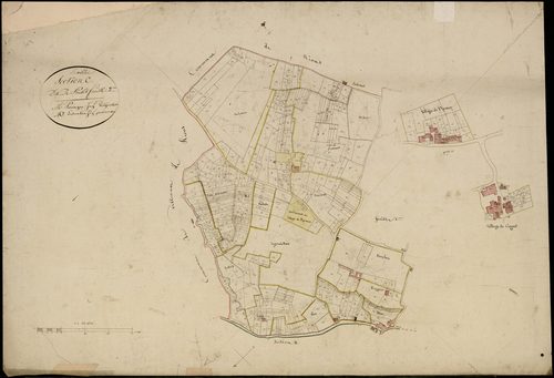 Paillet - -Section C feuille 1 : Poulet