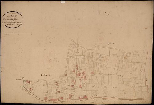 Paillet - -Section C feuille 2 : Poulet