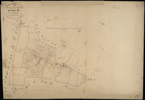 Pauillac - -Section B feuille 1 : Mousset