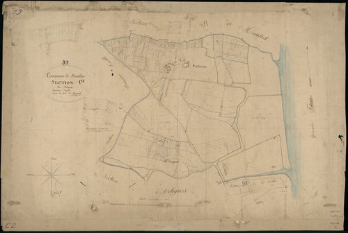 Pauillac - -Section C feuille 2 : Pibran