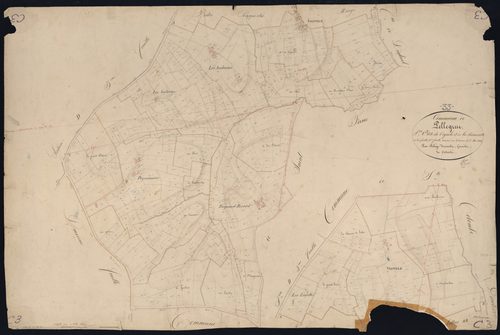 Pellegrue - -Section C feuille 3 : Vignole et La Ramonette