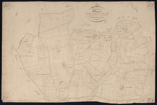 Pellegrue - -Section C feuille 1 : Vignole et La Ramonette