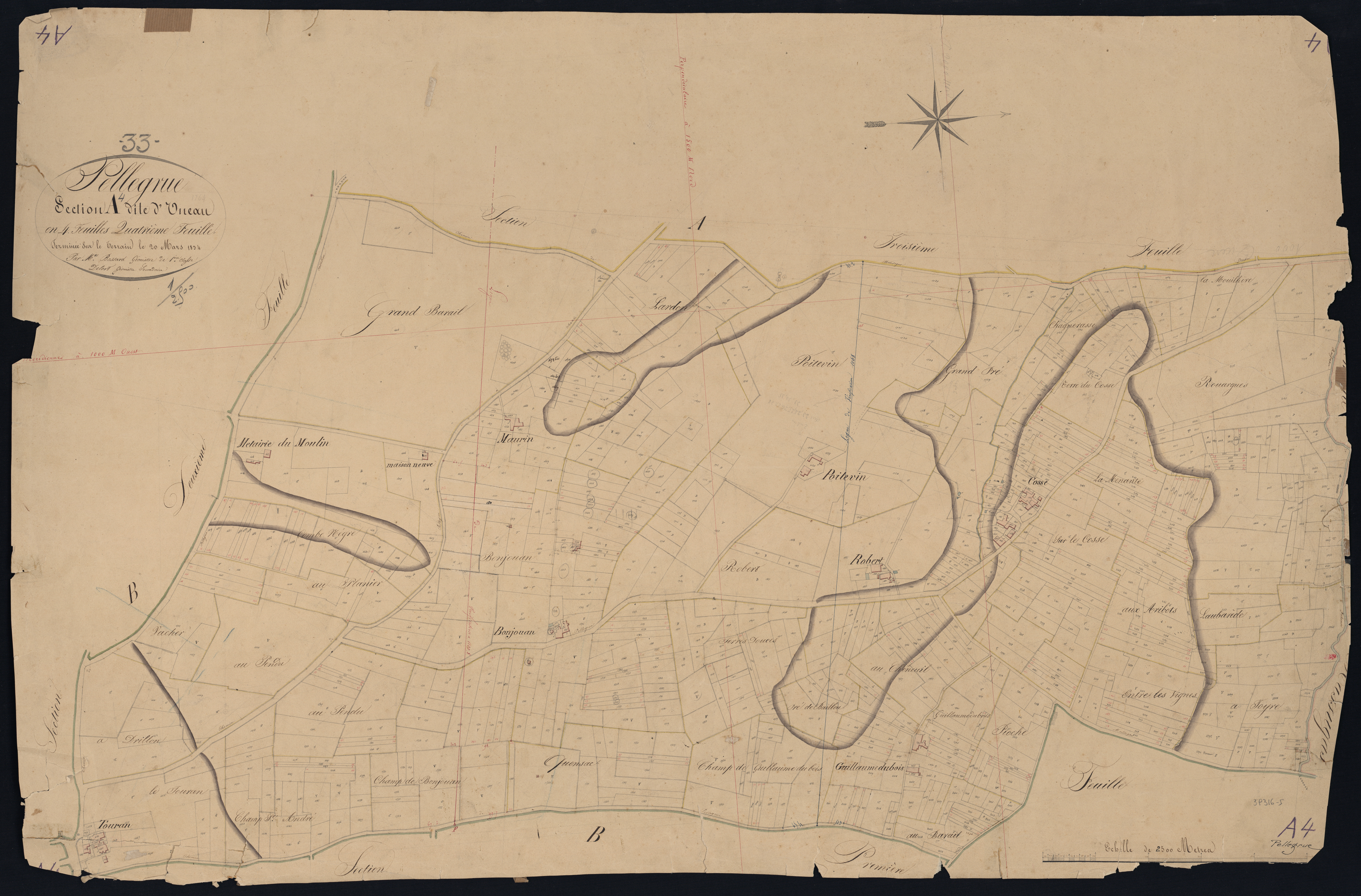 Pellegrue - -Section A feuille 4 : Uneau