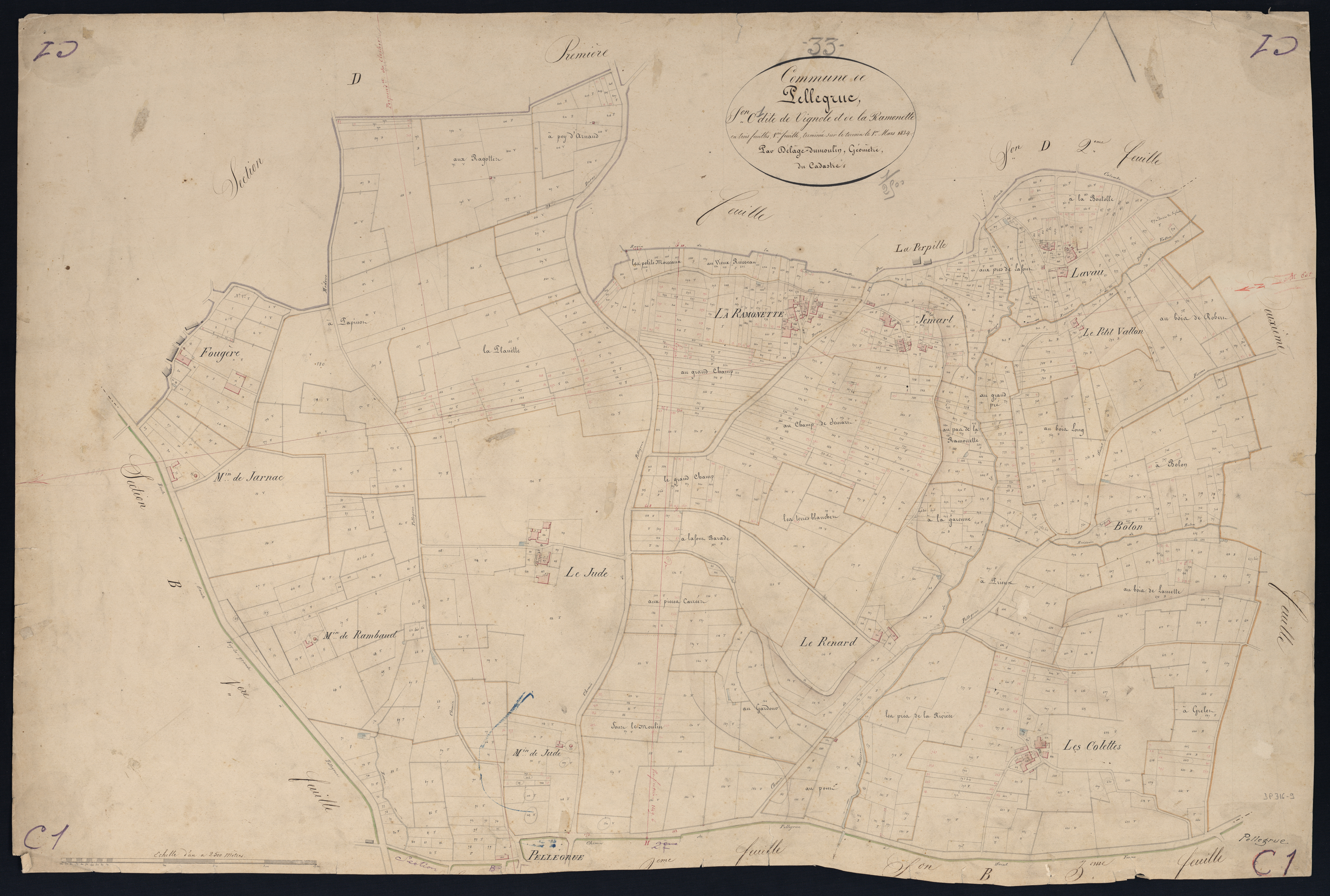 Pellegrue - -Section C feuille 1 : Vignole et La Ramonette