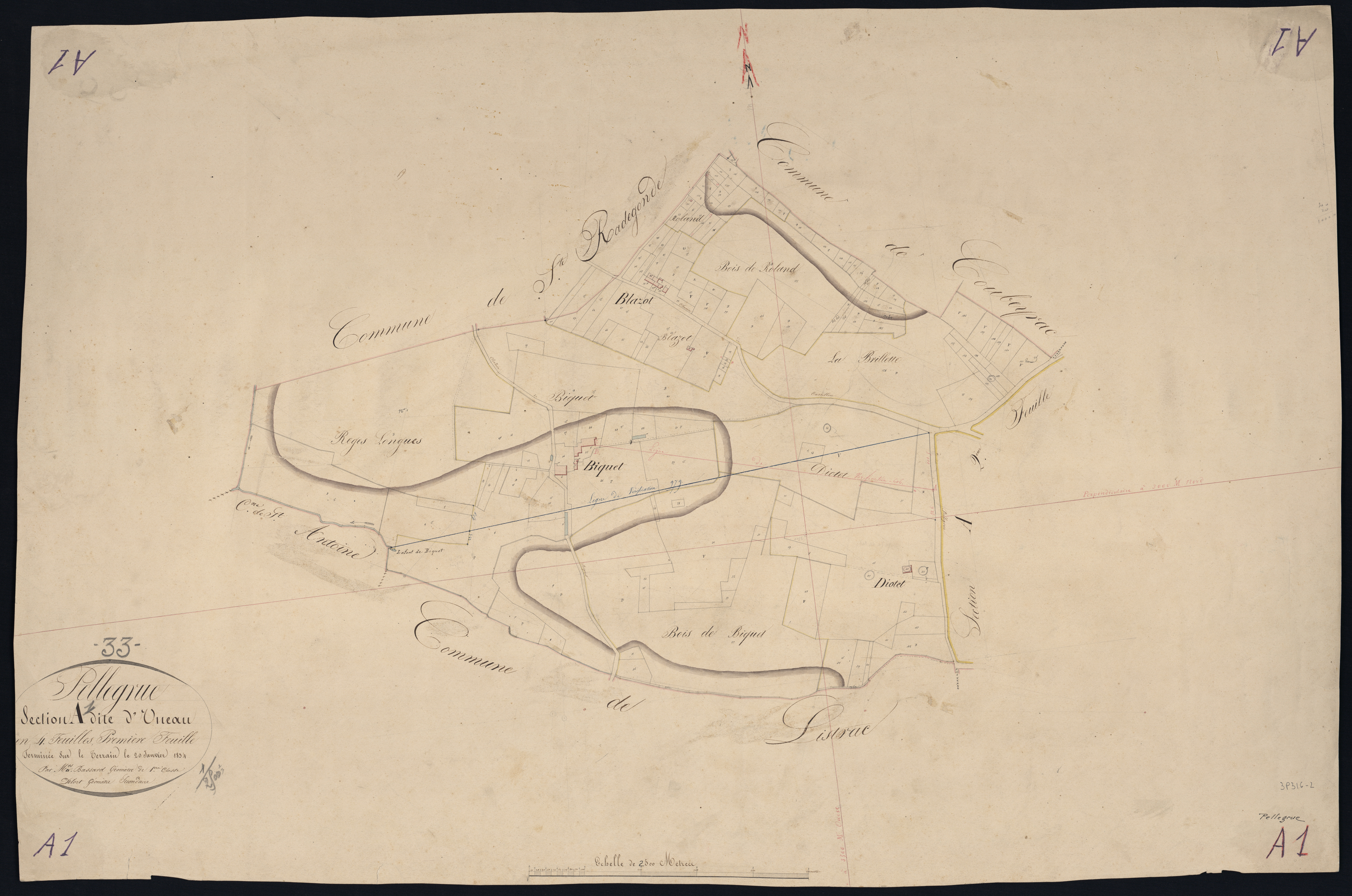 Pellegrue - -Section A feuille 1 : Uneau