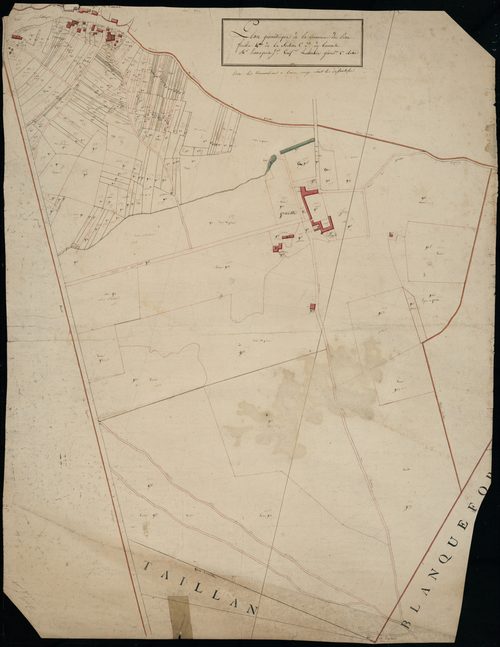 Le Pian-Médoc - -Section C feuille 4 : Louens