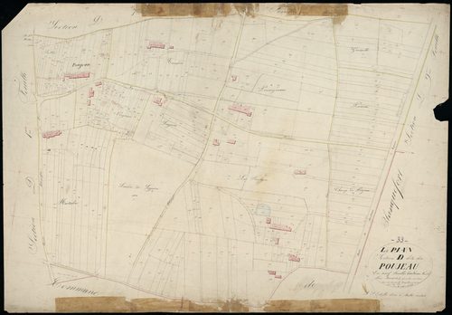 Le Pian-Médoc - -Section D feuille 8 : Le Poujeau