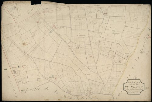 Queyrac - -Section D feuille 1 : Le Blanc