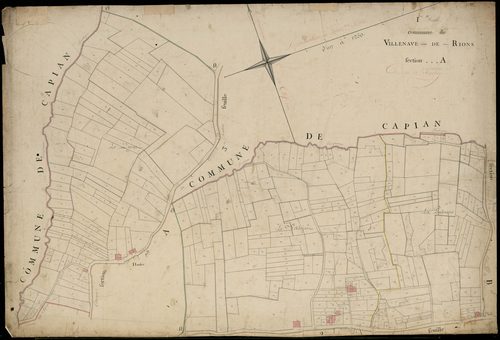 Rions - -Section A feuille 1 : Fauchey