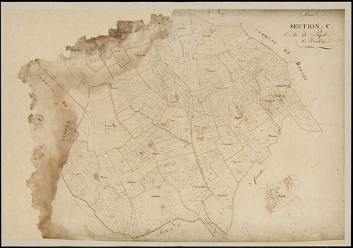 Rions - -Section C feuille 1 : Pujols
