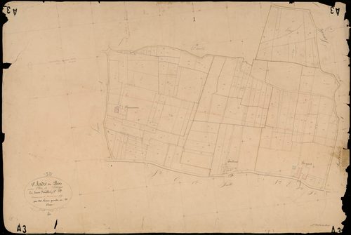 Saint-André-du-Bois - -Section A feuille 2 : Litays