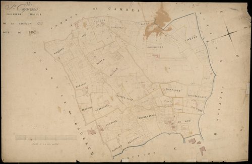 Saint-Caprais-de-Bordeaux - -Section C feuille 1 : Le Buc