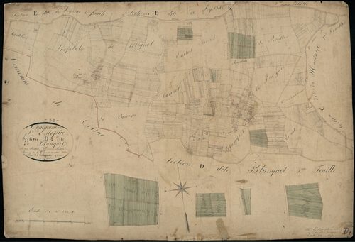 Saint-Estèphe - -Section D feuille 1 : Blanquet
