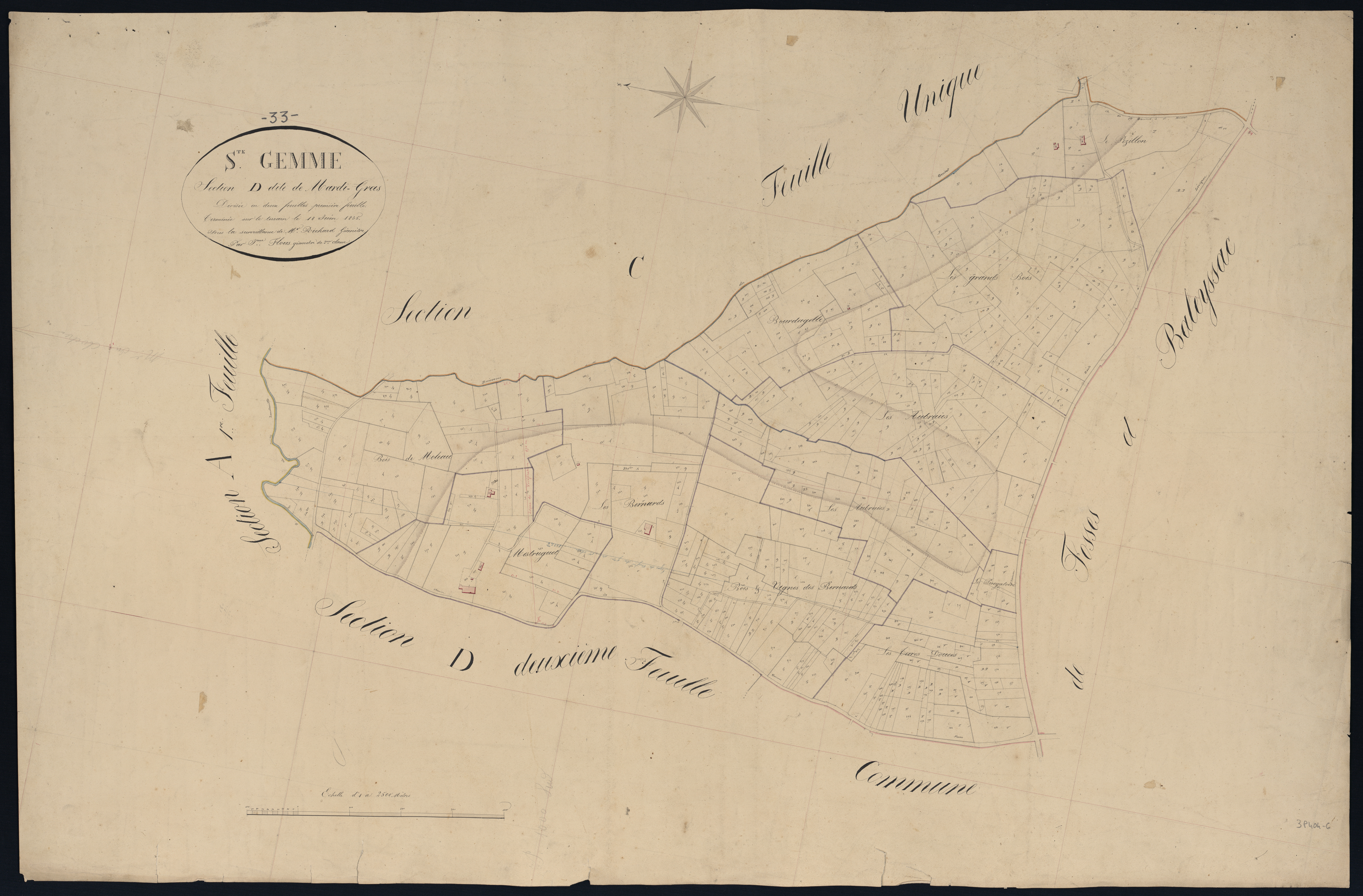 Sainte-Gemme - -Section D feuille 1 : Mardi-Gras