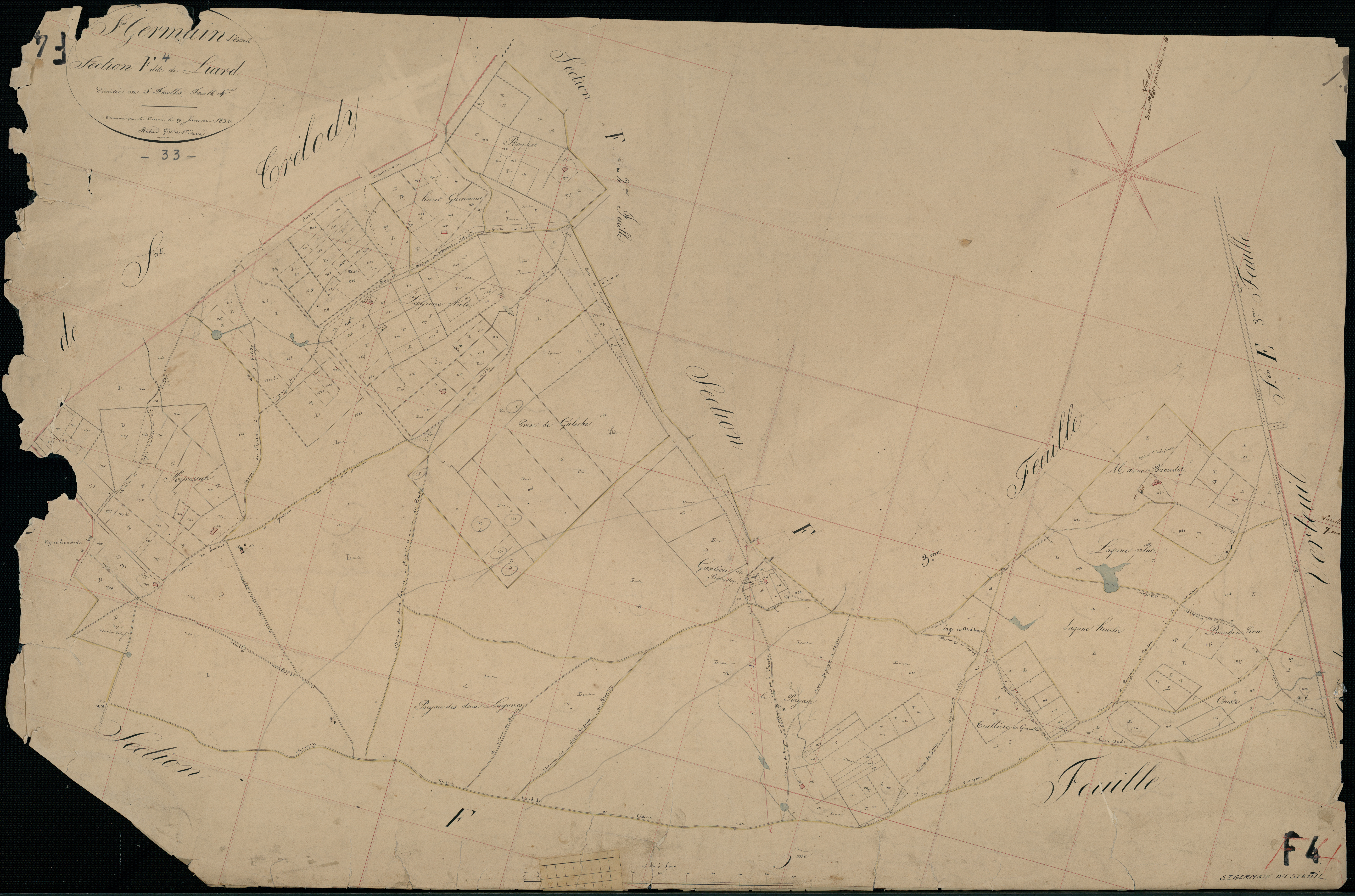 Saint-Germain-d'Esteuil - -Section F feuille 4 : Liard