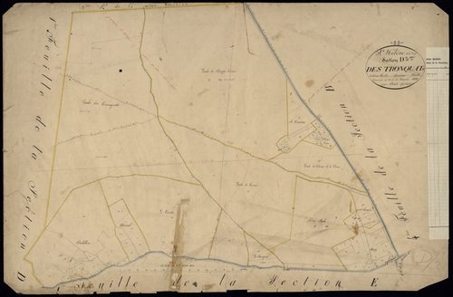 Sainte-Hélène - -Section D feuille 2 : Les Tronquets
