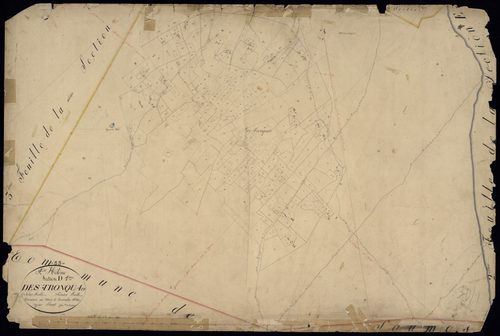 Sainte-Hélène - -Section D feuille 1 : Les Tronquets