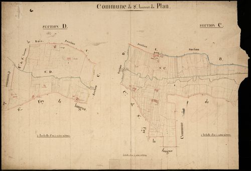Saint-Laurent-du-Plan - -Sections C et D : non indiqué