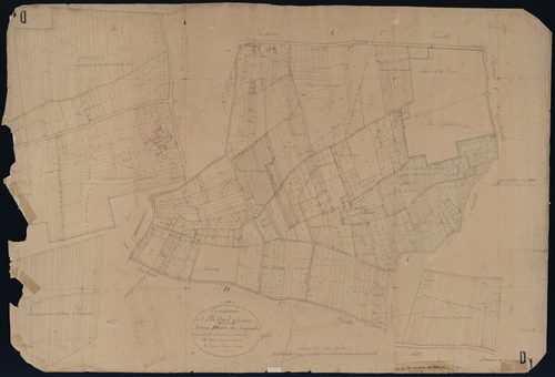 Saint-Médard-de-Guizières - -Section D feuille 1 : Les Jacquards