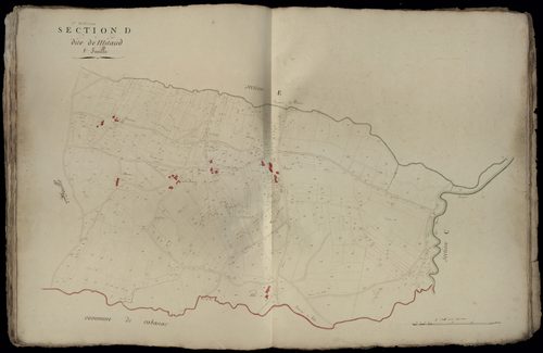 Saint-Morillon - -Section D feuille 1 : Mitaud