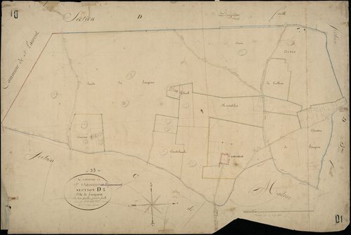 Saint-Sauveur - -Section D feuille 1 : Lieujean