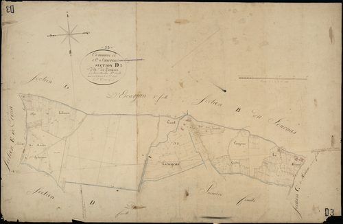 Saint-Sauveur - -Section D feuille 3 : Lieujean