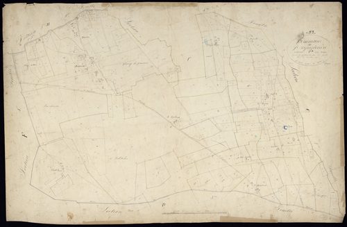 Saint-Symphorien - -Section C feuille 3 : Les Brous