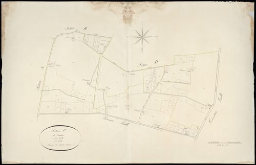 Sauternes - -Section C feuille 2 : Nautets