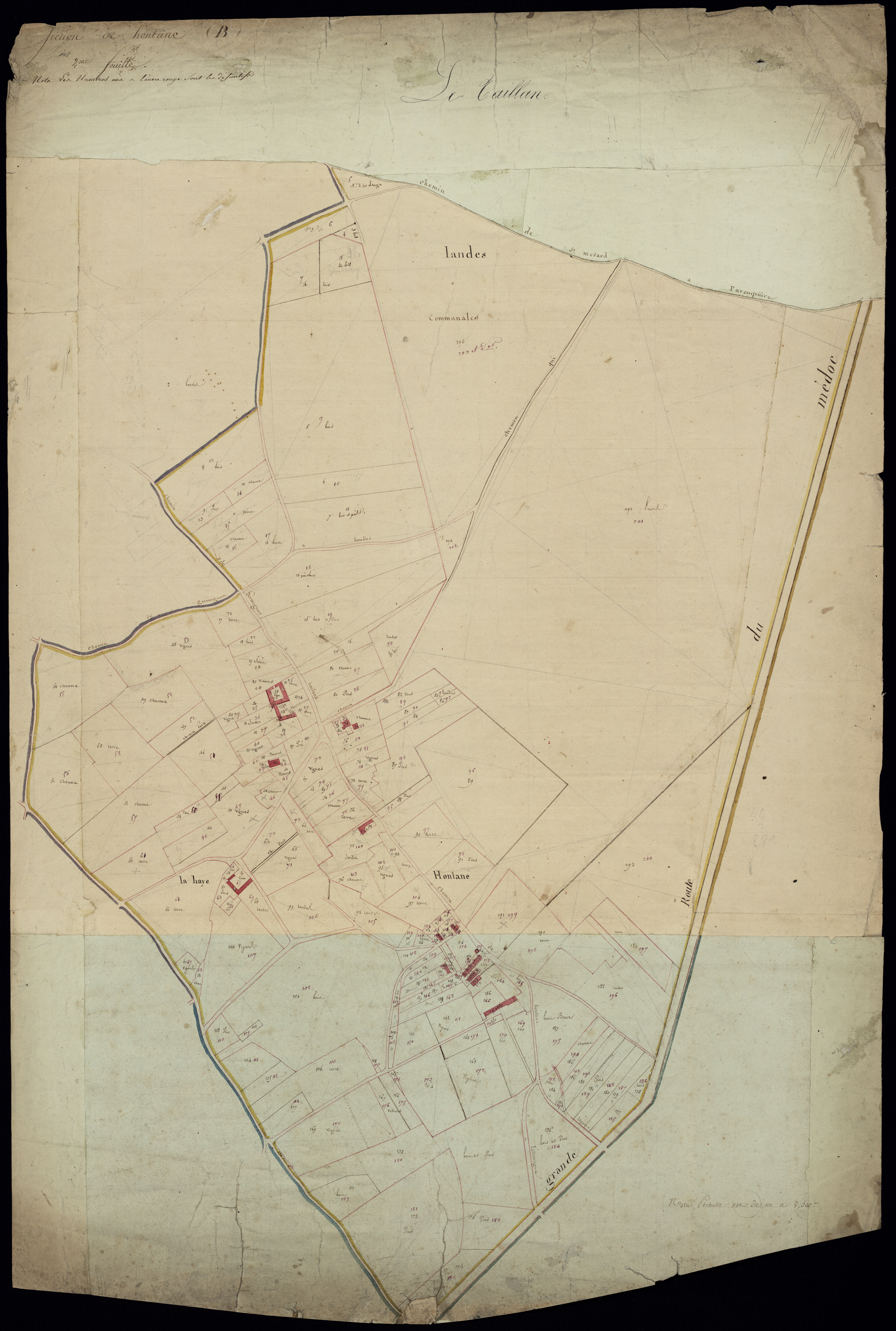 Le Taillan-Médoc - -Section B feuille 2 : Hontane