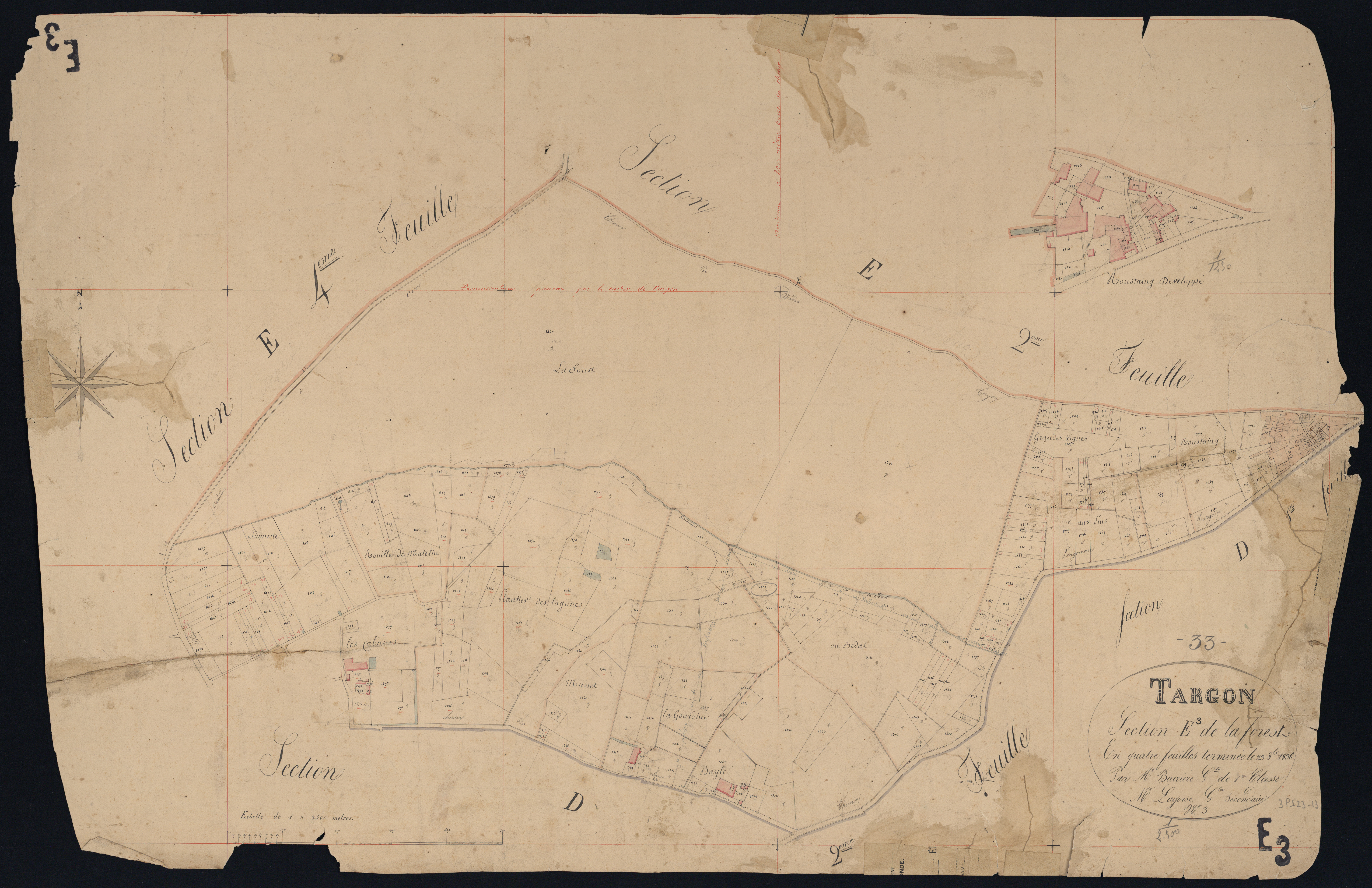 Targon - -Section E feuille 3 : La Forest