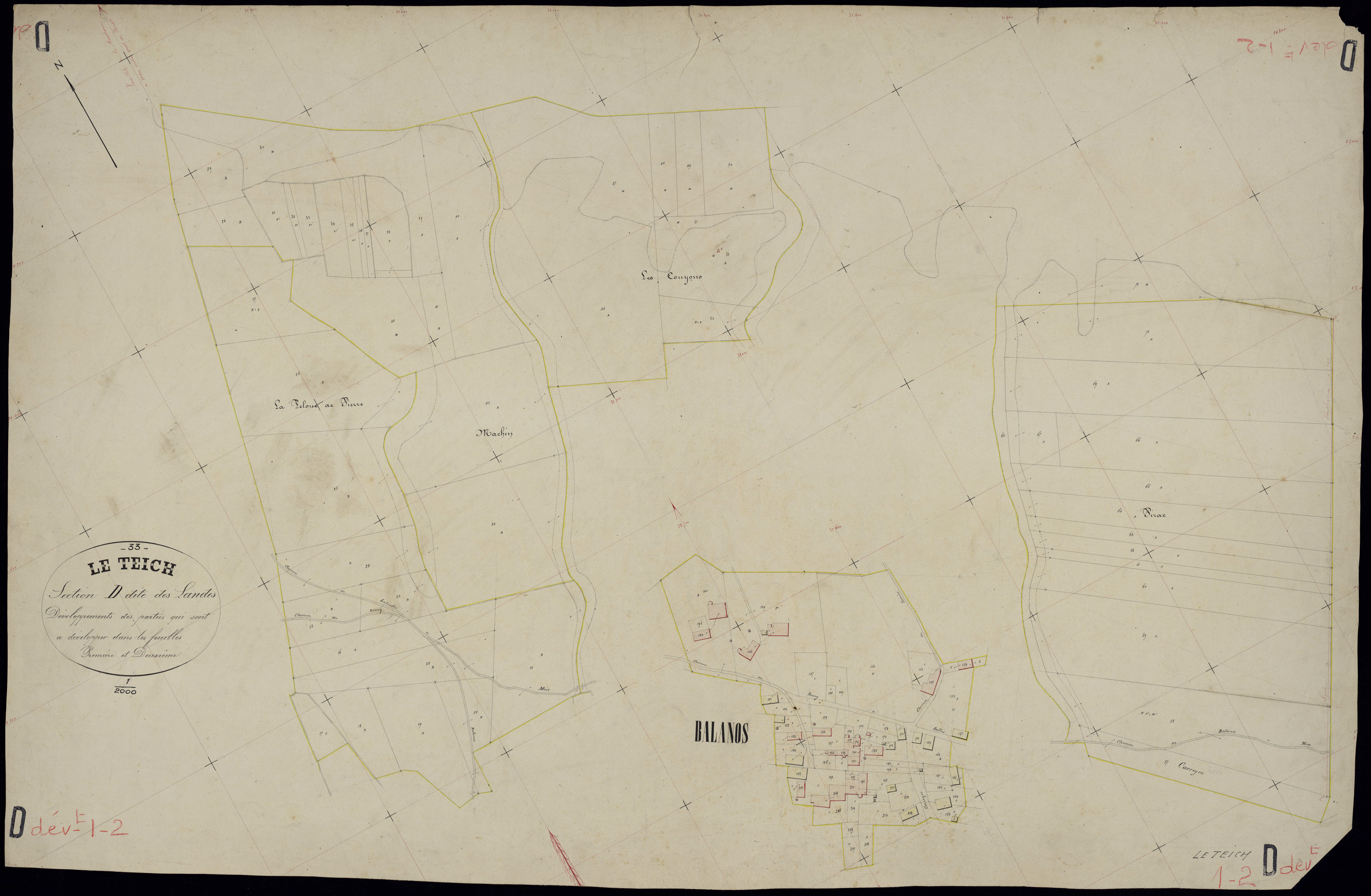 Le Teich - -Section D feuille 1 et 2 : Les Landes