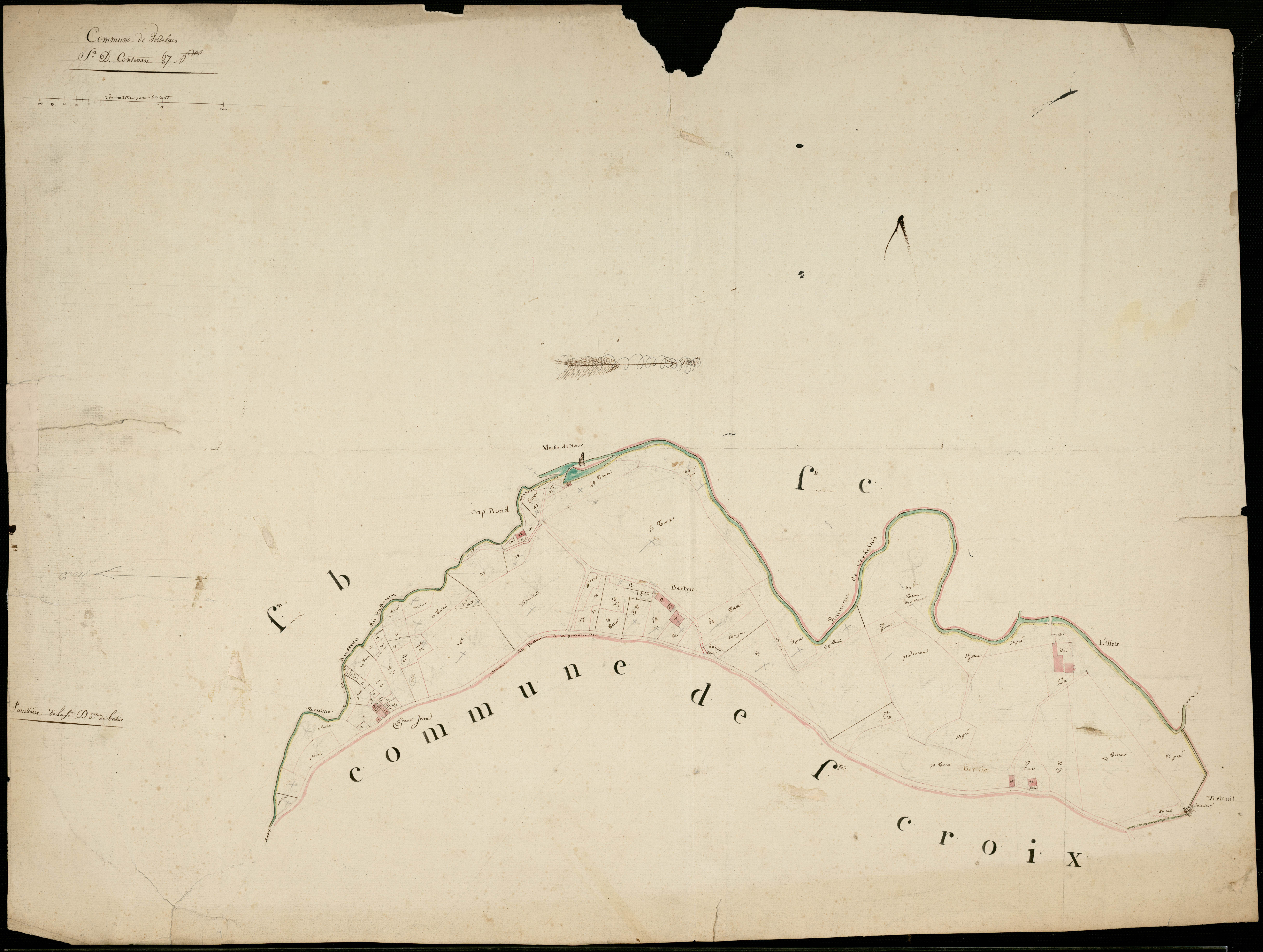 Verdelais - -Section D feuille unique :