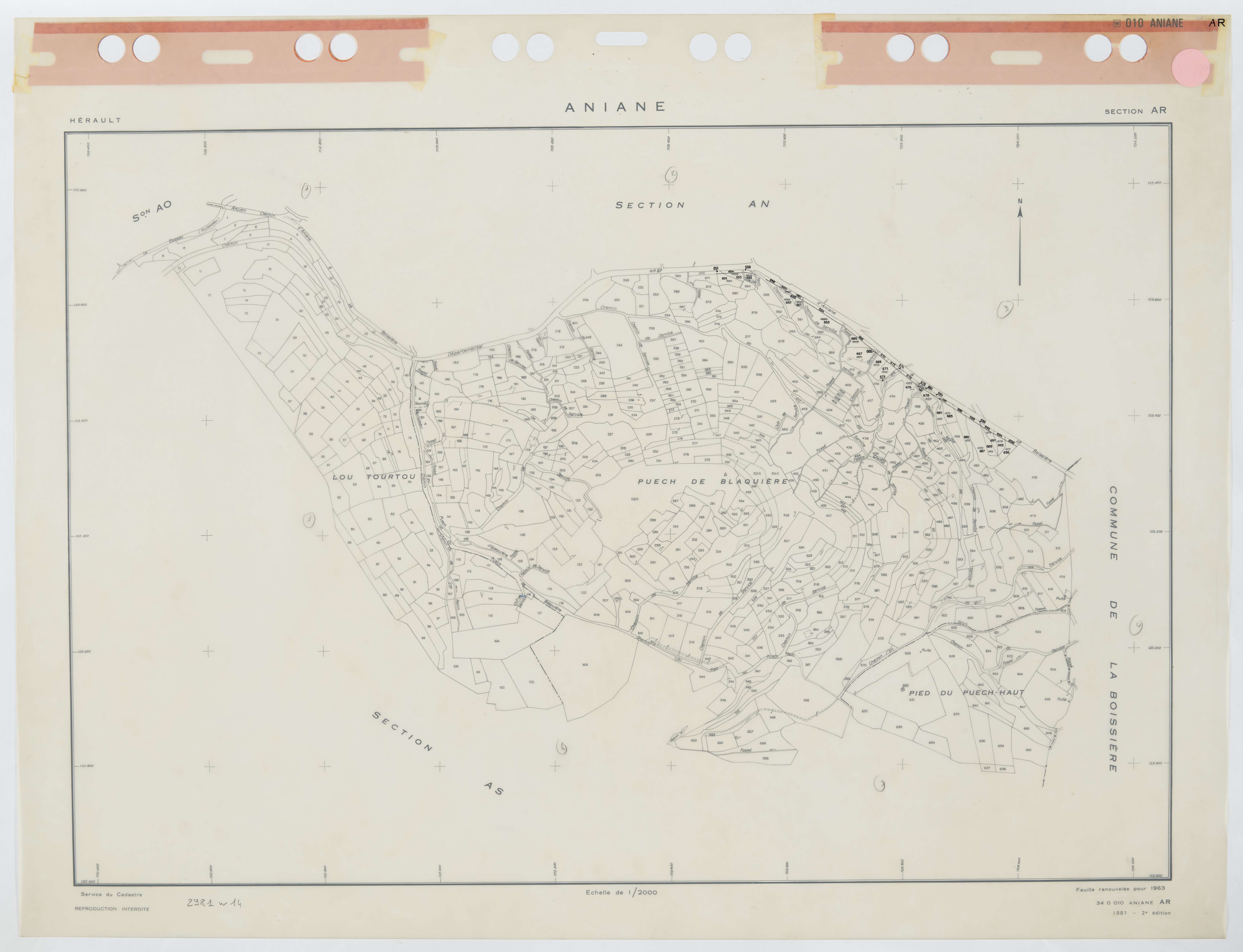 Aniane