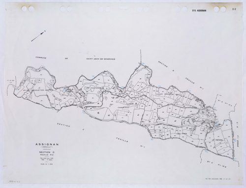 Assignan