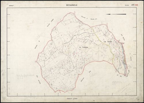 Bédarieux