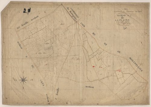 Castelnau-le-Lez