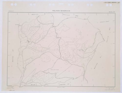 Félines-Minervois