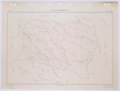 Félines-Minervois